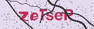 Codice captcha