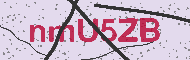 Codice captcha