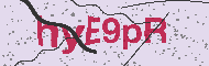 Codice captcha