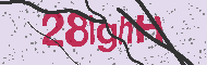 Codice captcha