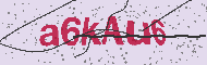 Codice captcha
