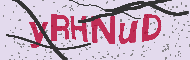 Codice captcha