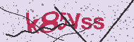 Codice captcha