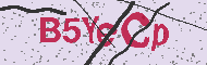 Codice captcha