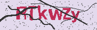 Codice captcha