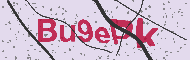 Codice captcha