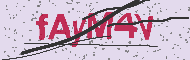 Codice captcha