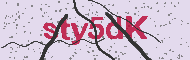 Codice captcha