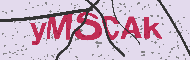 Codice captcha