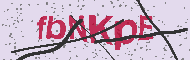 Codice captcha