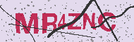 Codice captcha