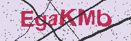 Codice captcha