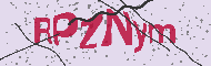 Codice captcha