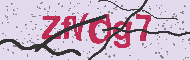 Codice captcha