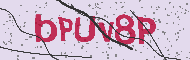Codice captcha