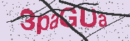 Codice captcha